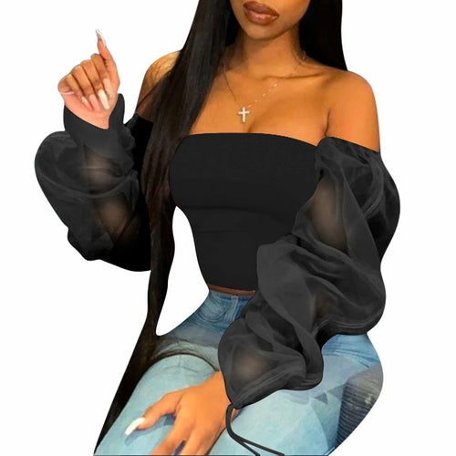 Casual Long Sleeve Multi-Color Sheer Top