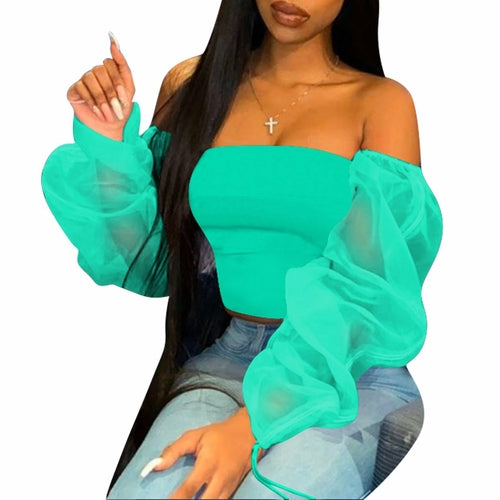 Casual Long Sleeve Multi-Color Sheer Top