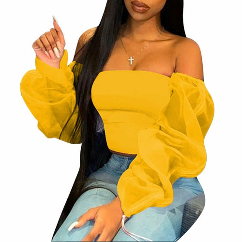 Casual Long Sleeve Multi-Color Sheer Top