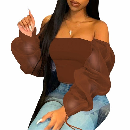 Casual Long Sleeve Multi-Color Sheer Top