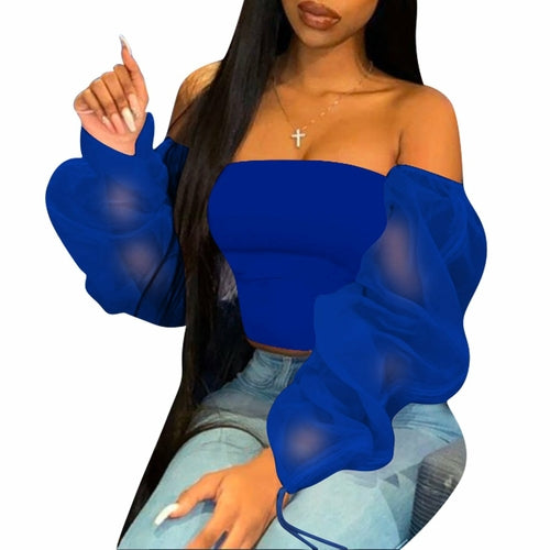 Casual Long Sleeve Multi-Color Sheer Top